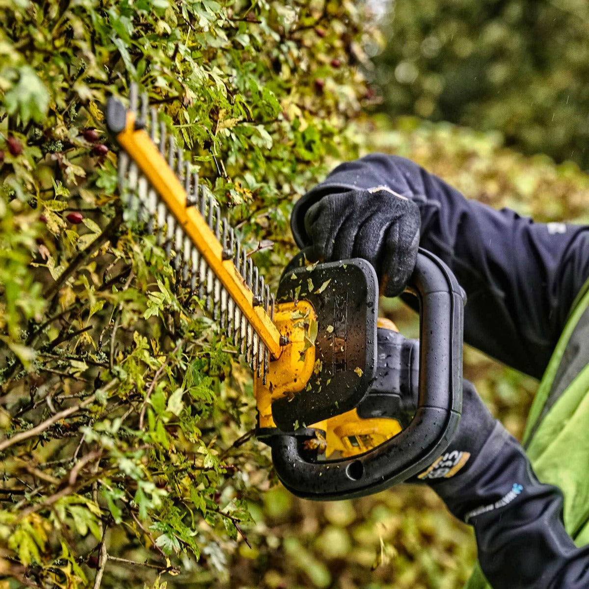 DEWALT DCMHT563P1 18V XR B/LESS HEDGE TRIMMER 1 X5.0AH